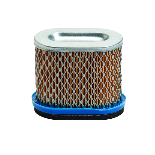 Air Filter, Briggs and Stratton